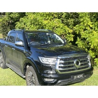 Sinister Stainless Snorkel to suit GWM Cannon 